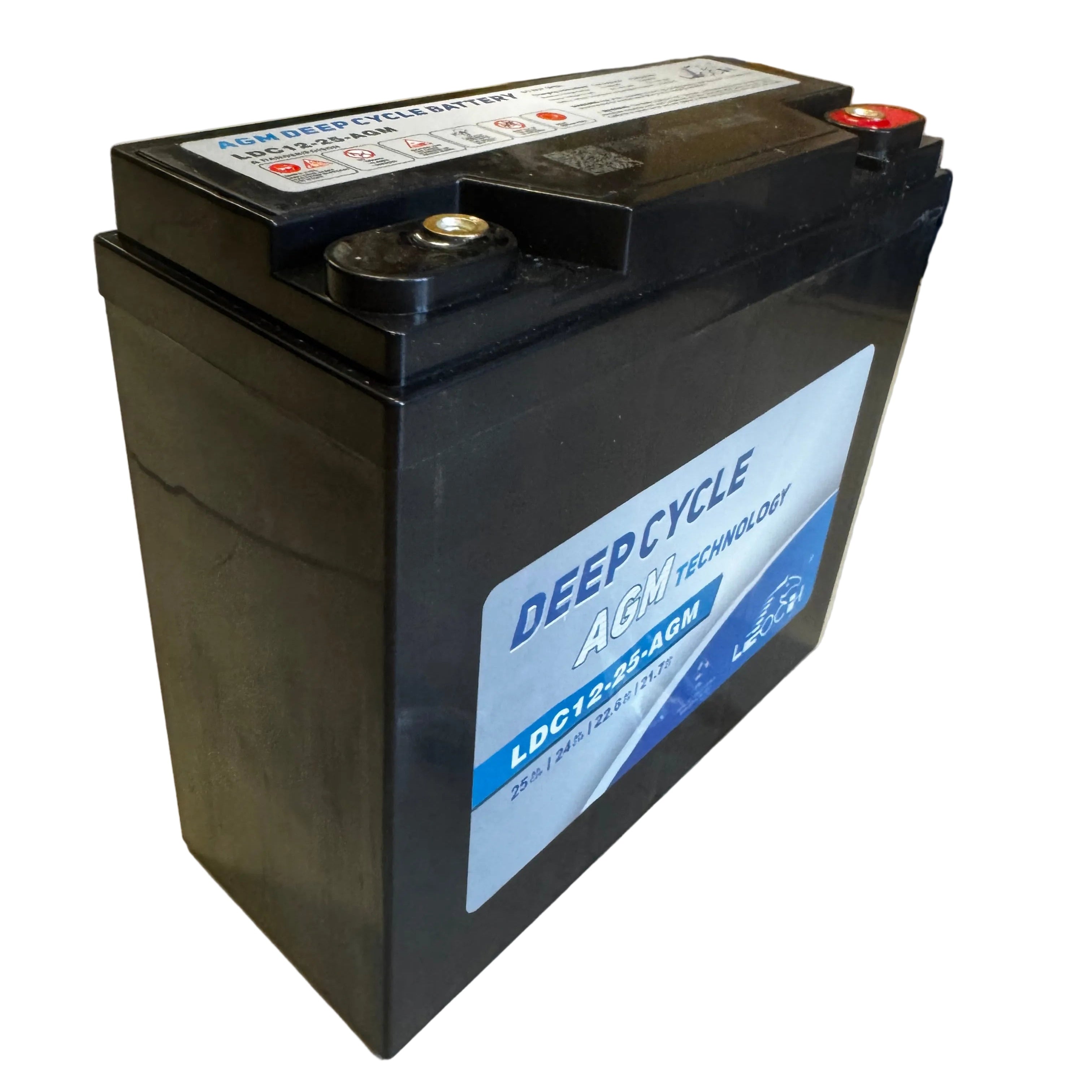 Batterie LEOCH WILLIAMS Rotax